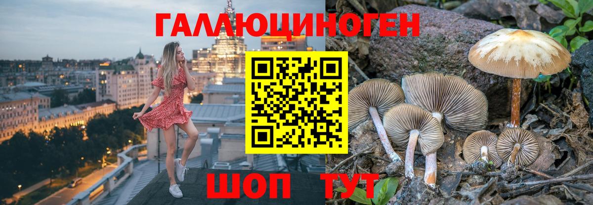 Галлюциногенные грибы Psilocybine cubensis  Вход с VPN  Северобайкальск  Псилоцибиновые грибы ЛСД 